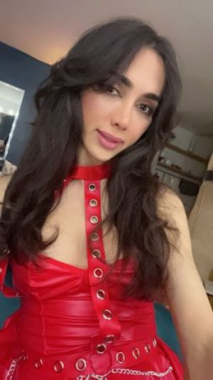 Транссексуалка Госпожа Арина